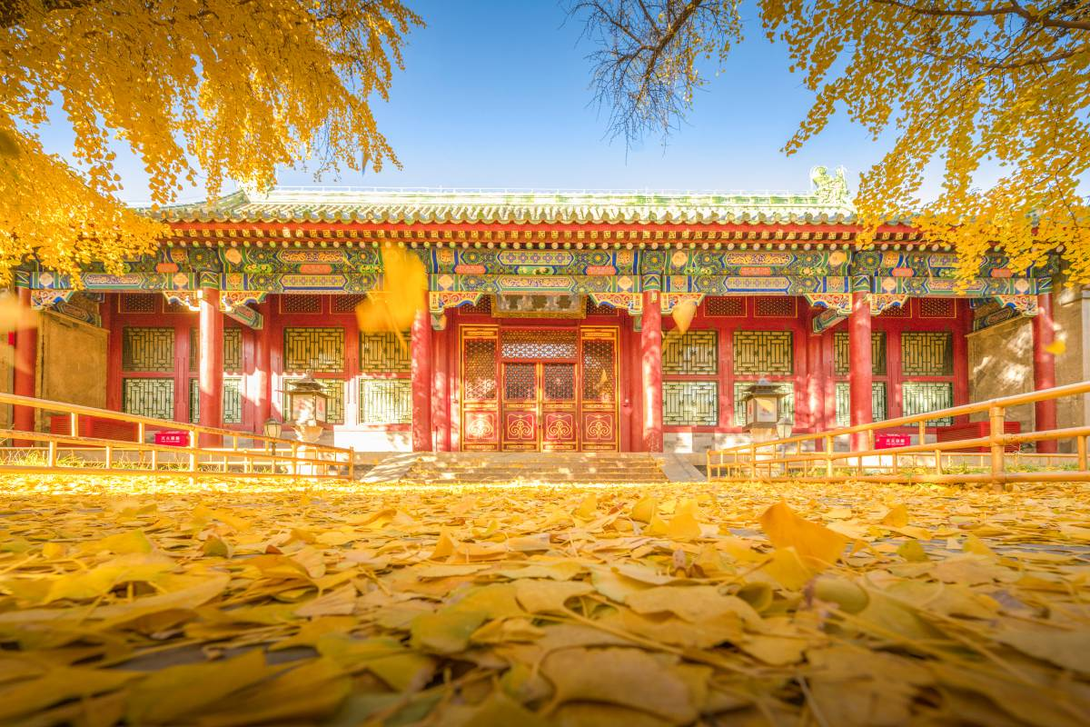 Beijing in Fall