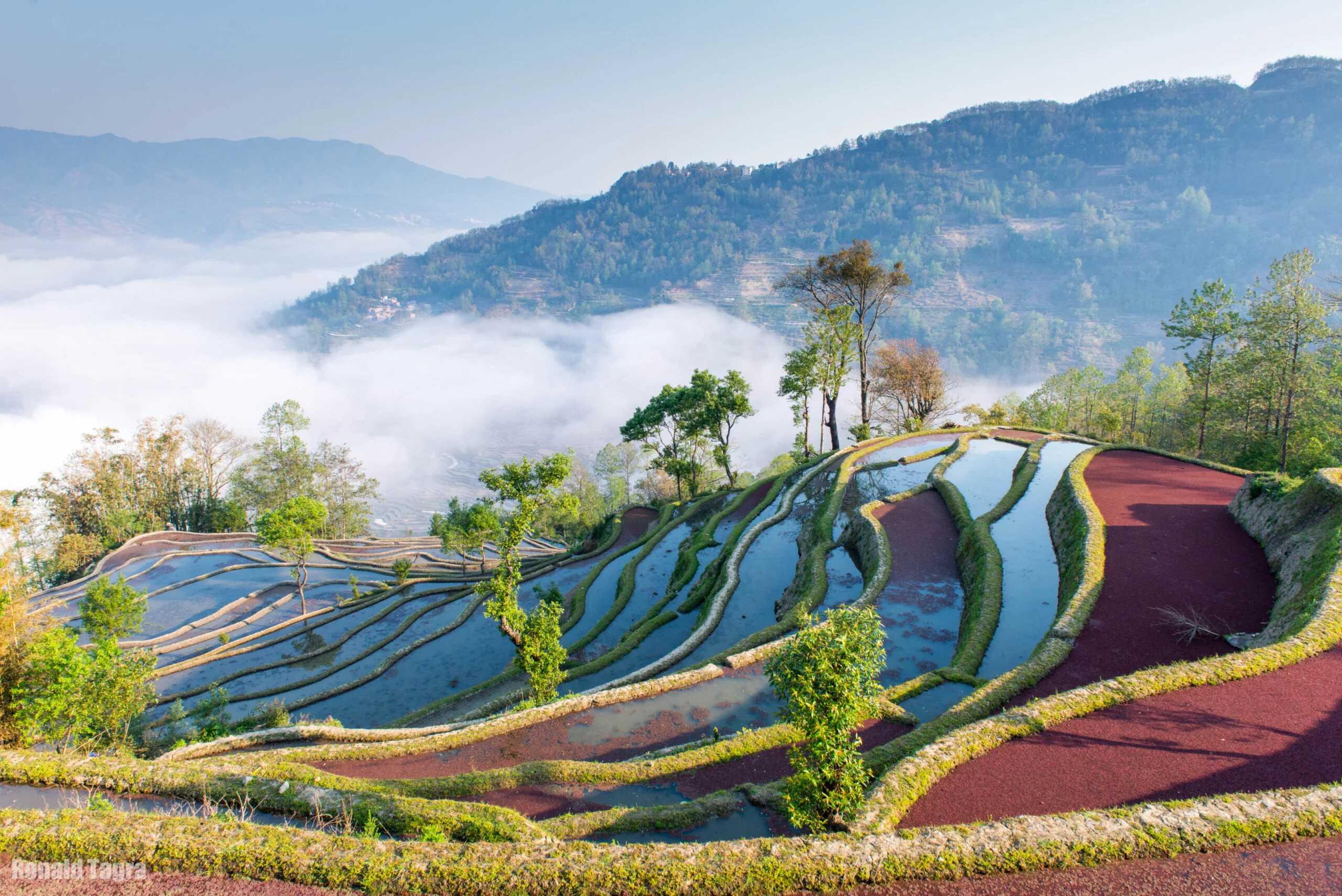 Yuanyang Rice Terraces