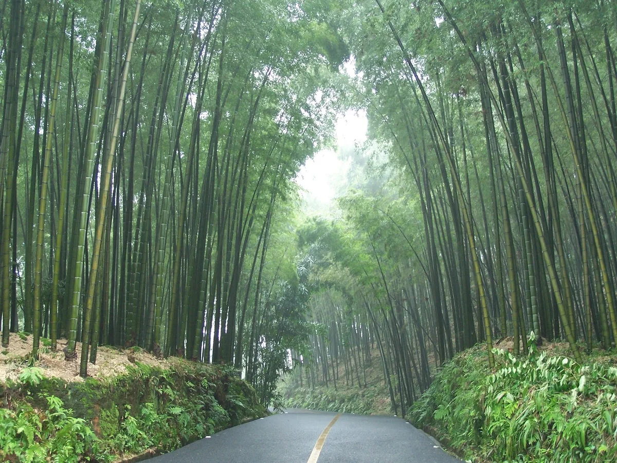 Shunan  