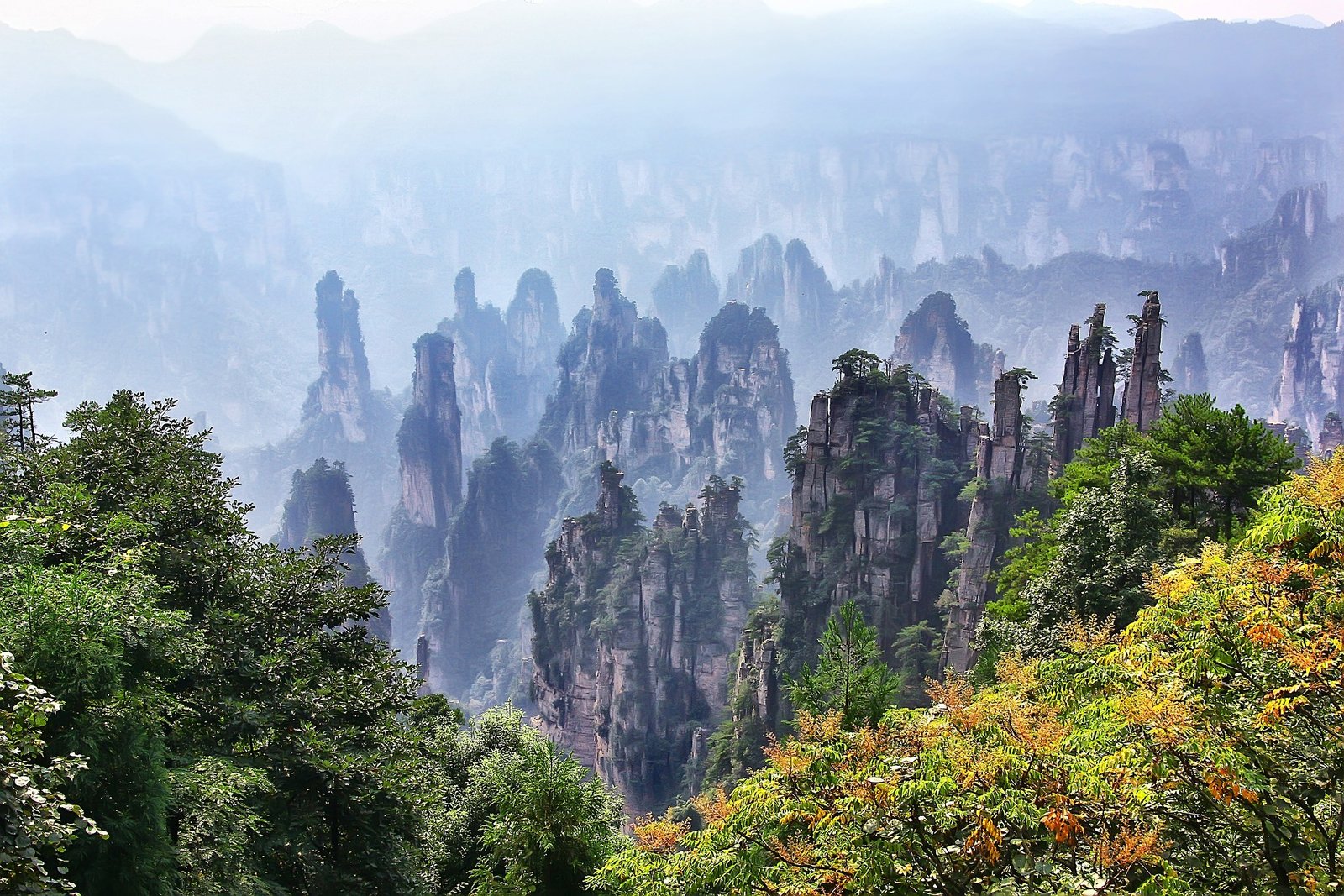 Tianzi Mountain
