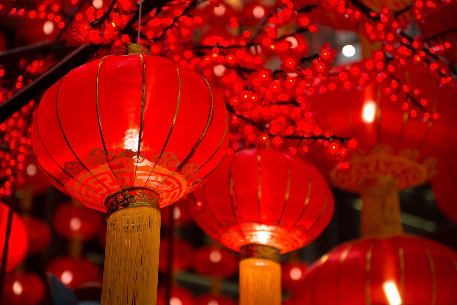 Chinese New year