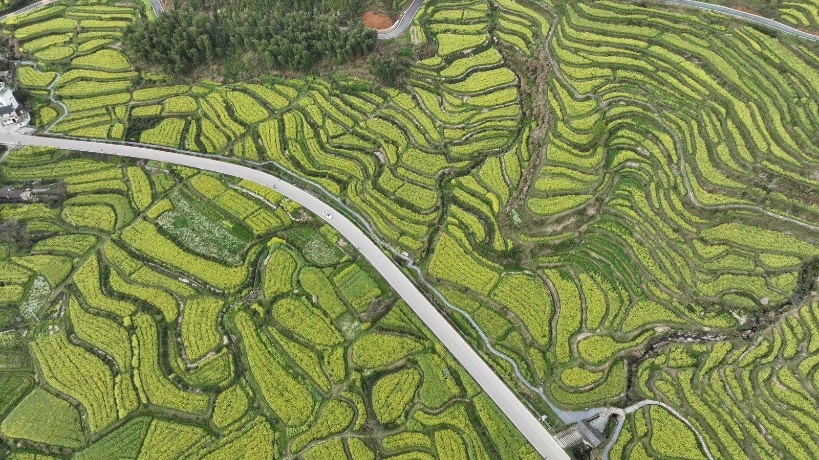 江岭梯田