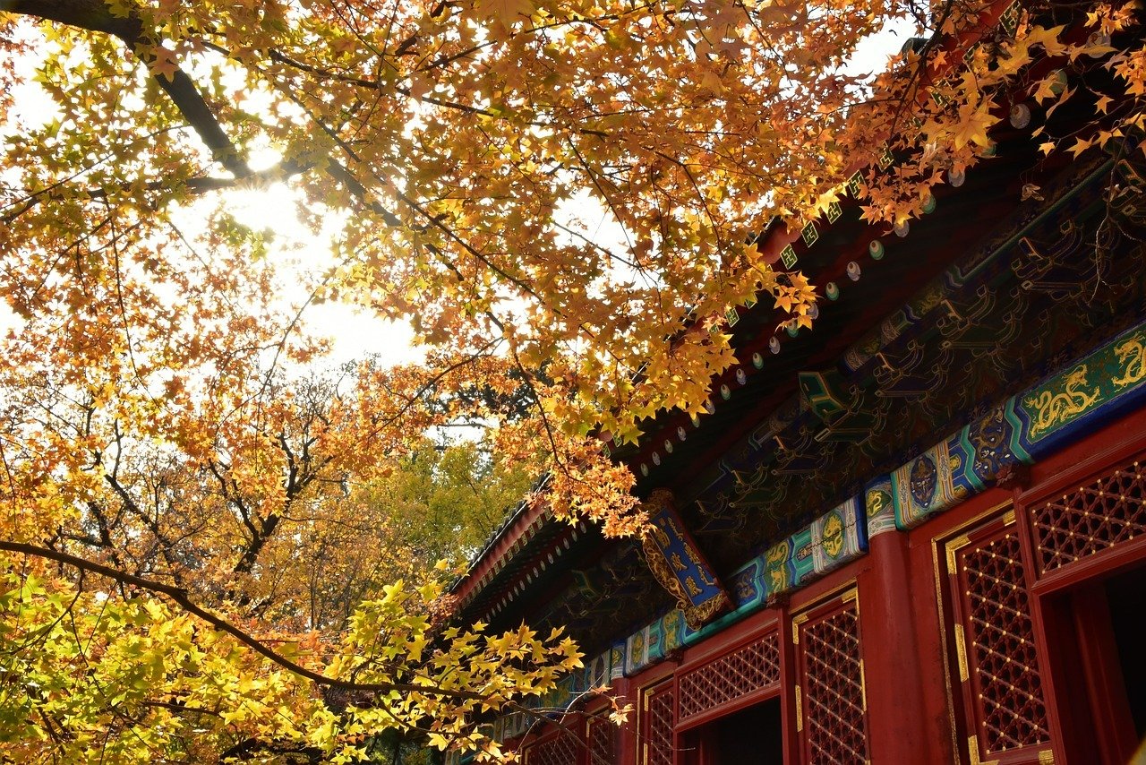 BEIJING IN FALL