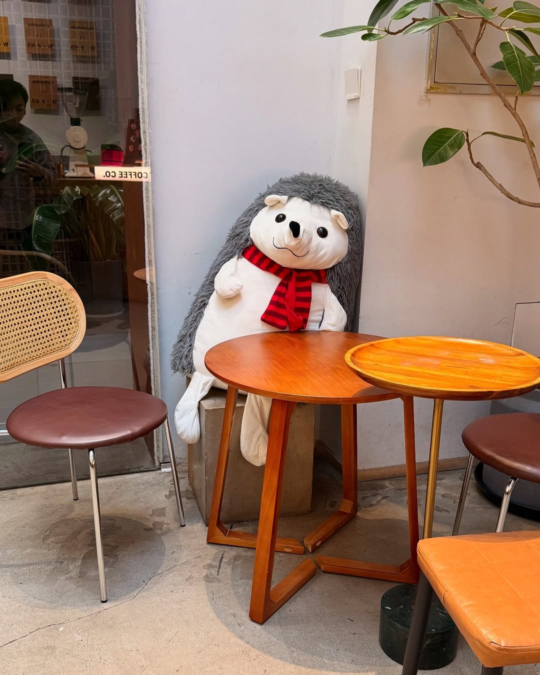 Tian Roast & Little Red Hood beijing - Instagram @allyssa555