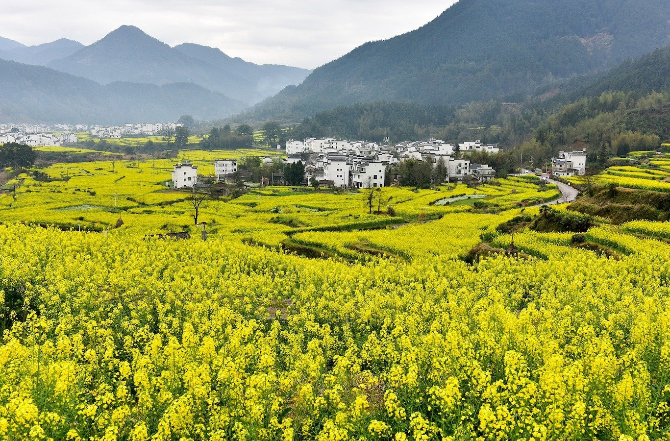 WUYUAN