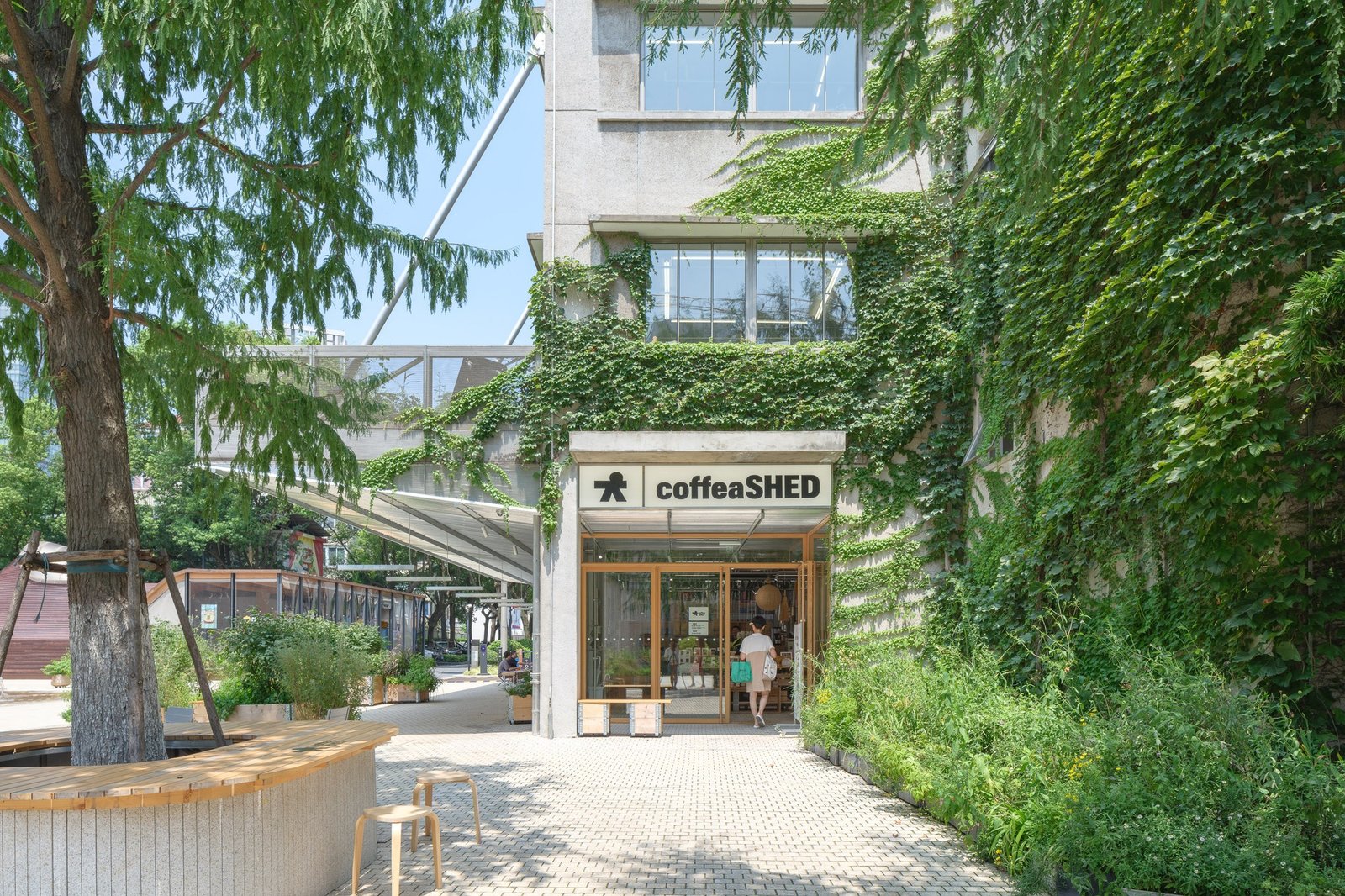 Coffea SHED