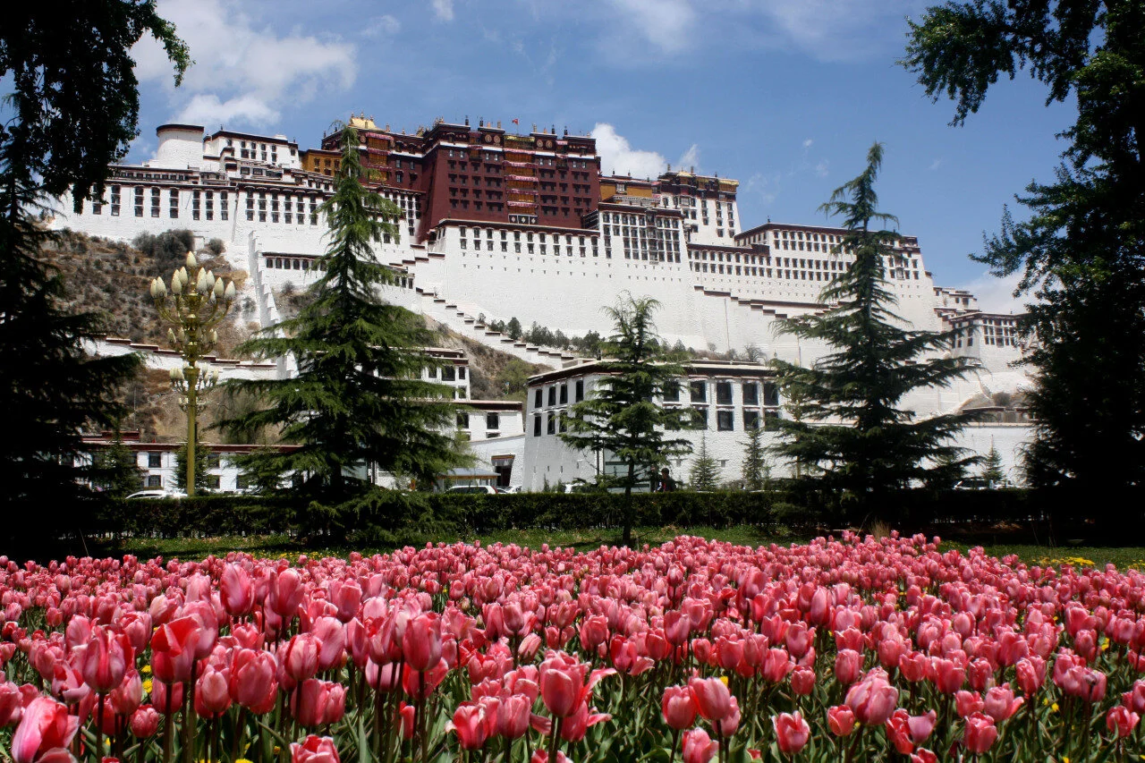 Lhasa