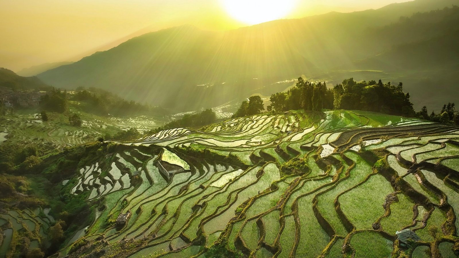 元阳梯田