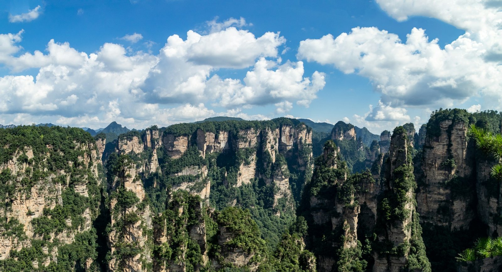 8D Wonderful China Zhangjiajie and Fenghuang Plus Shanghai