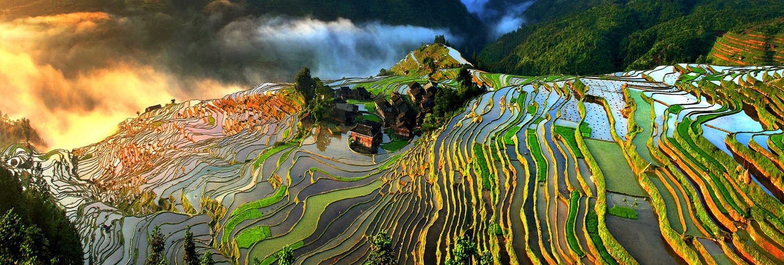 guizhou rice terraces