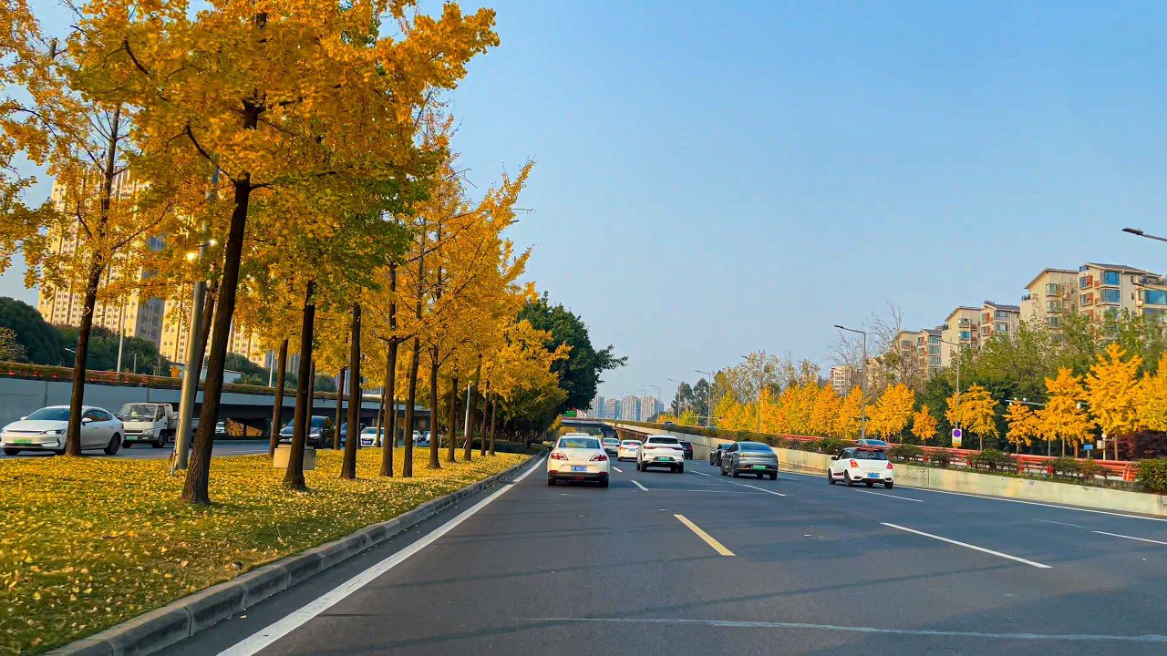 Chengdu Scenic Road
