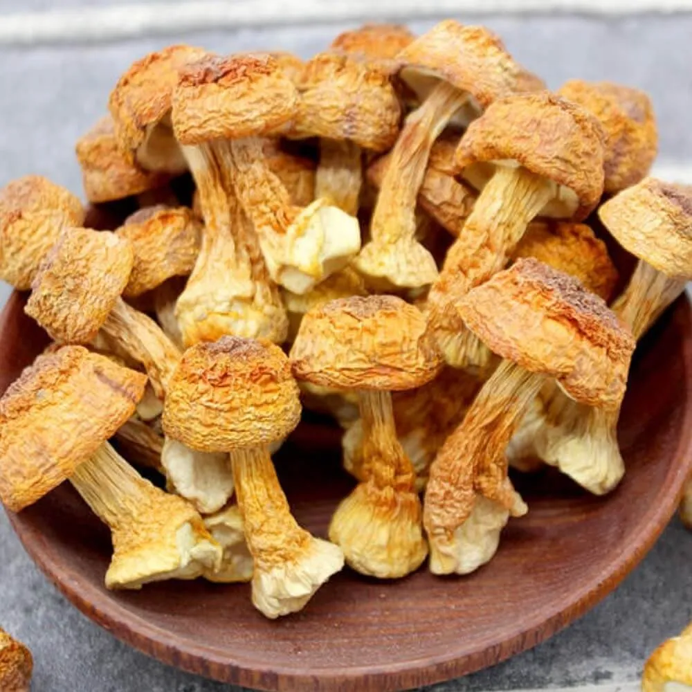 Premium Dried Mushroom Yunnan