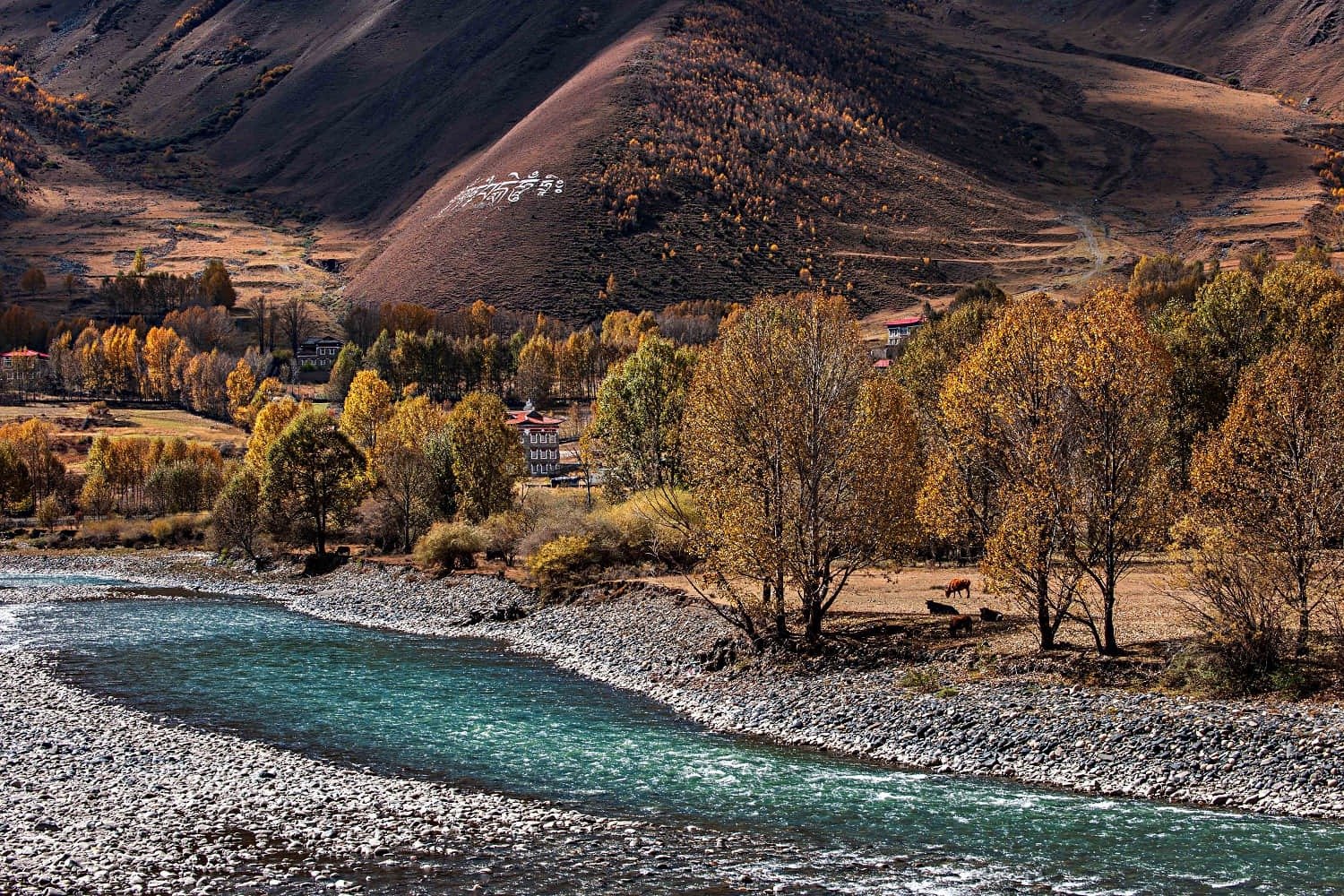 Western Sichuan in Autumn