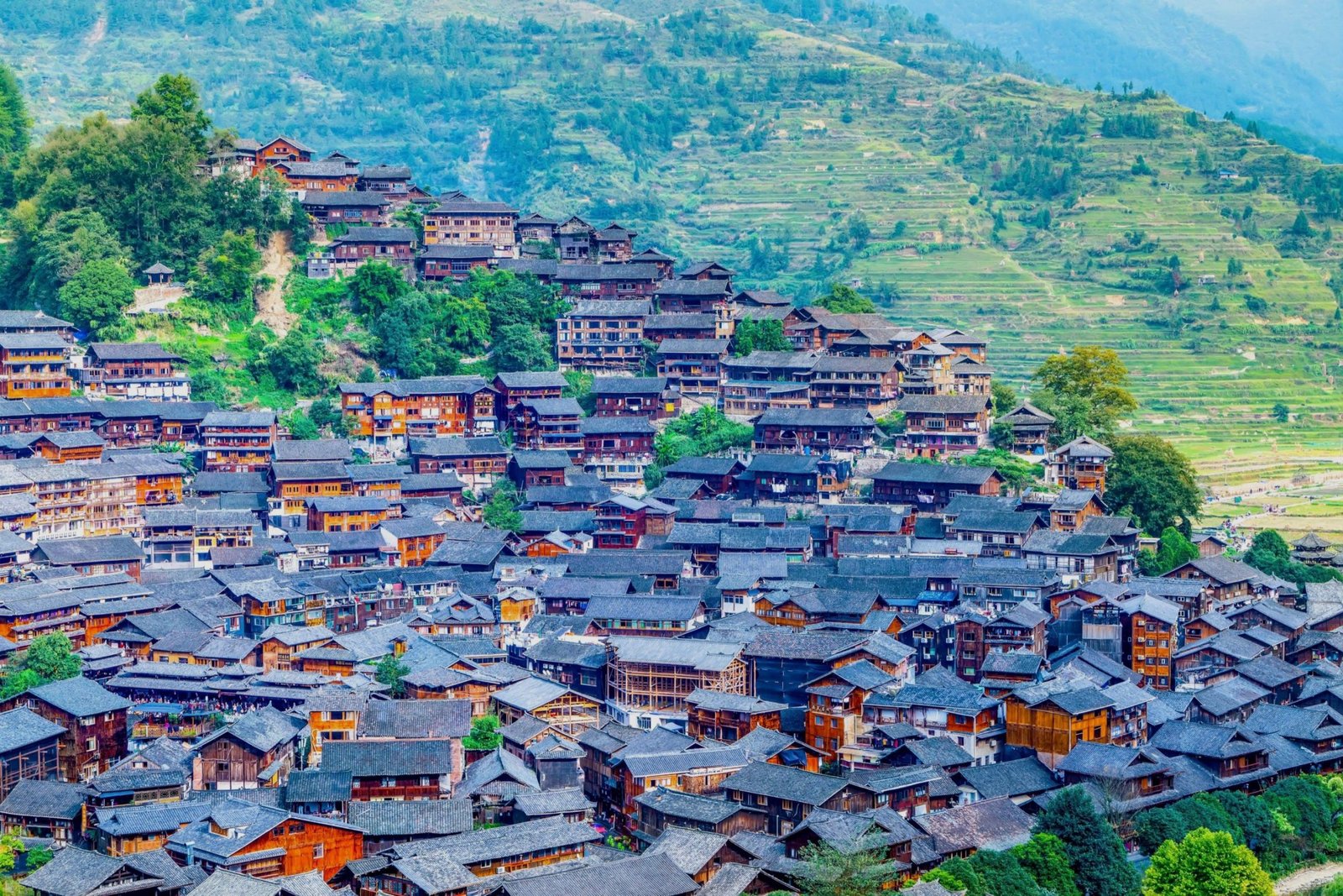 Guizhou