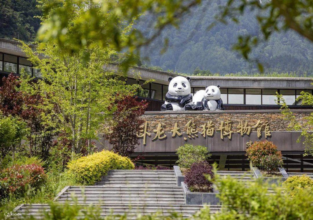 Wolong Panda Tour, Chengdu