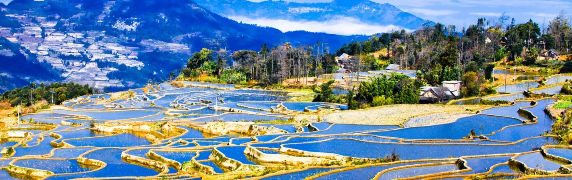 yuanyang rice terraces